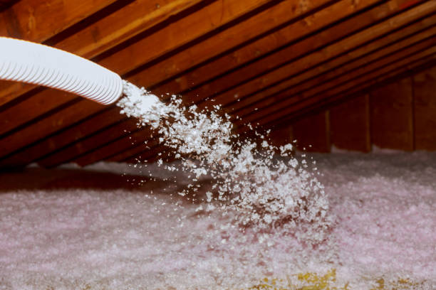 Best Residential Insulation in Riviera Beach, MD