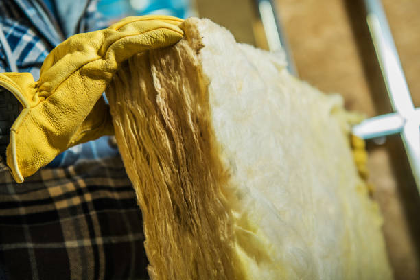 Best Insulation Installation Services in Riviera Beach, MD